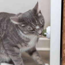 Bola de Catnip c/ Suporte 5cm